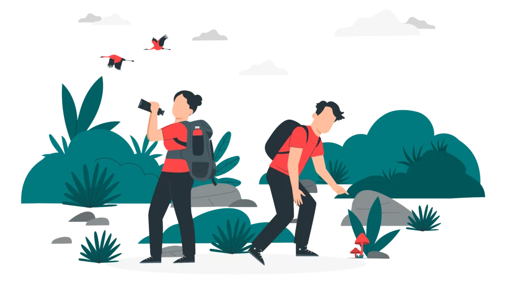 What is eco tourism