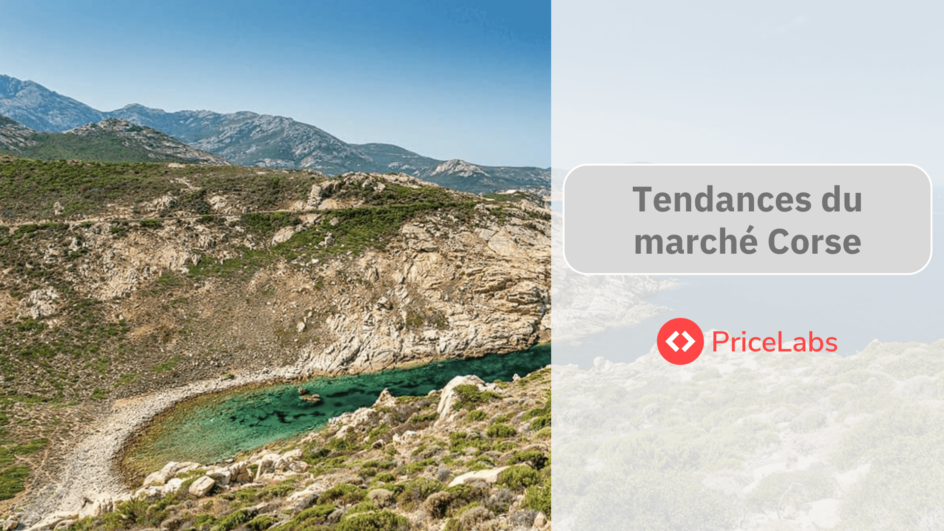 webinaire tendances marche corse pricelabs