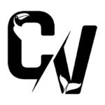 Canavida Resort & Villas PriceLabs user