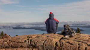 U.S. travelers scale back fall trips amid government shutdown concerns, finds PriceLabs